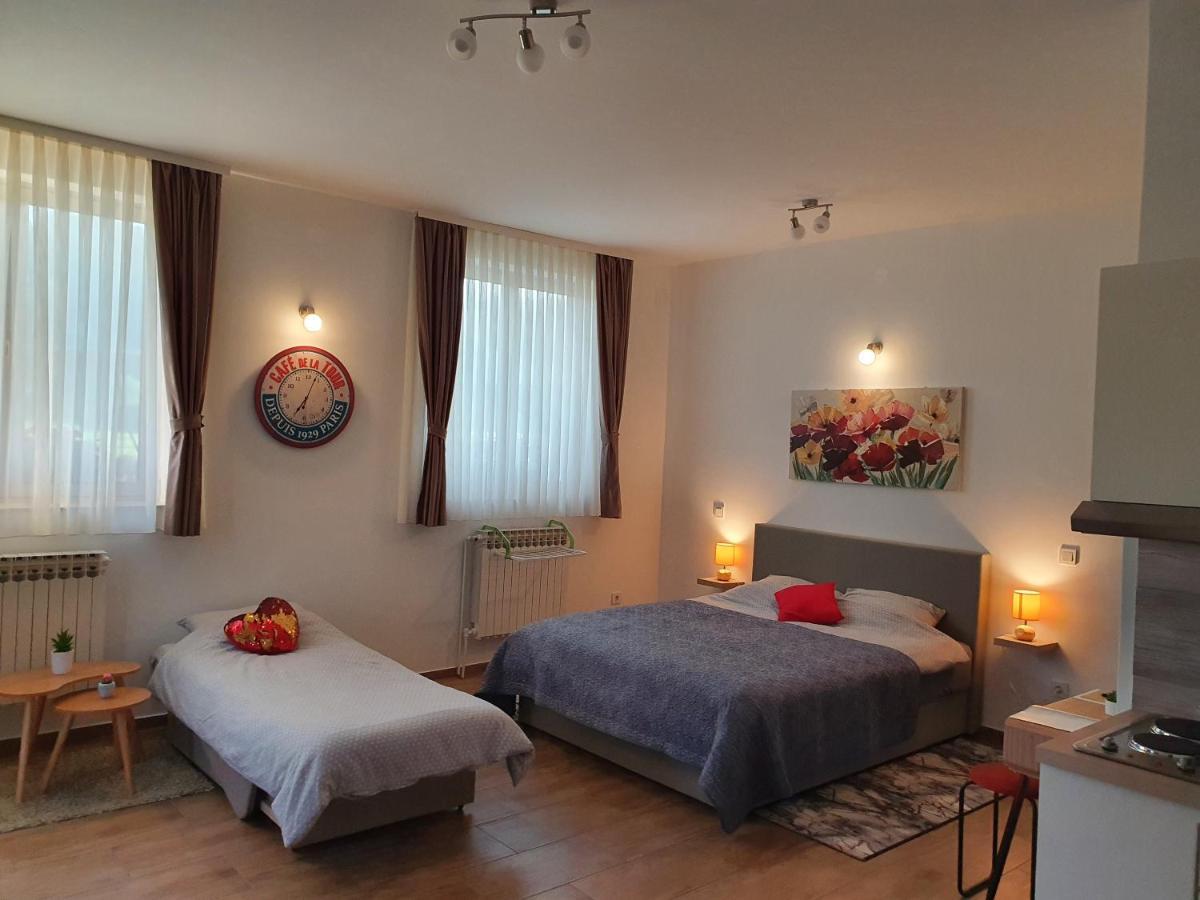 Studio Apartmani Toplicka Bajka Krapinske Toplice Exterior foto